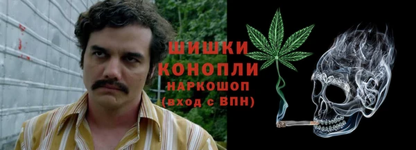 шишки Козельск