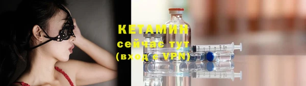 шишки Козельск