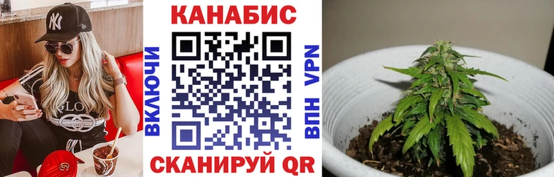 Бошки марихуана OG Kush Красновишерск